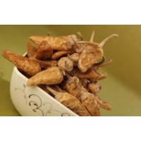 Mormelagai Long - 200/250 grams Mormelagai Long - 200/250 grams